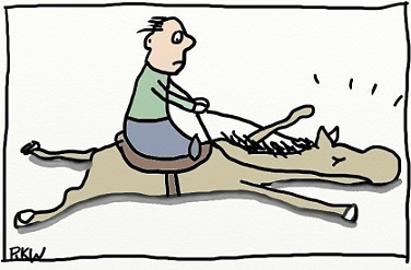erfolgreich, erfolgreich leben, erfolg, kopp-wichmann, persoenlichkeits-blog