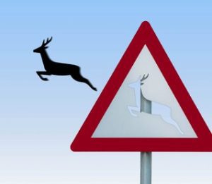 schild hirsch_xs_mbefoto - Fotolia