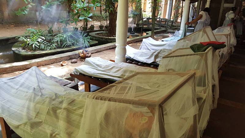 ayurveda -kur, ayurveda kräuter, kopp-wichmann, persoenlichkeits-blog.de,