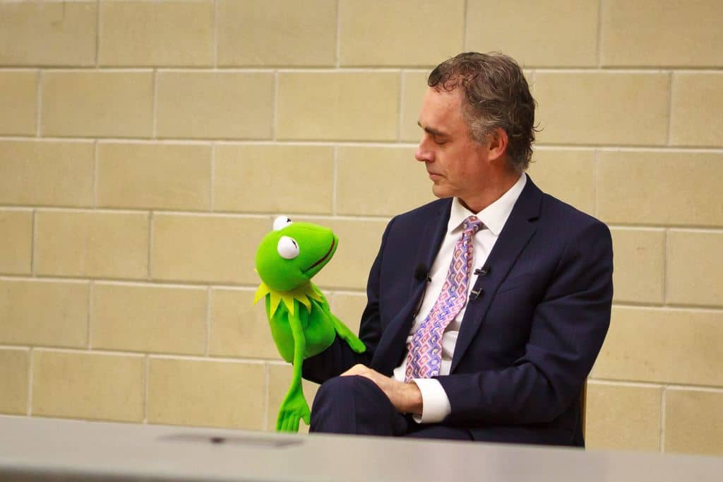 jordan peterson,12 Rules for Life,kopp-wichmann,persoenlichkeits-blog,