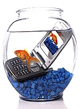 handy_glas_small_fotolia_2075981_xs.jpg